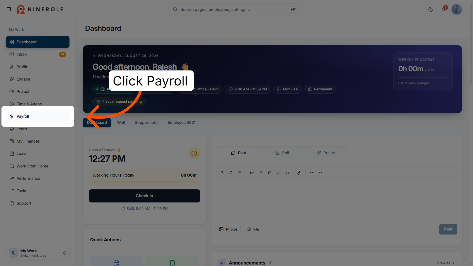 Access Payroll Section
